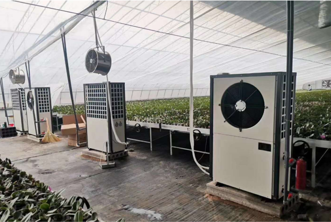 生物質(zhì)鍋爐-暖風(fēng)機-龍巖騰飛雙龍花卉-盧志斌（蝴蝶蘭種植-2萬㎡）